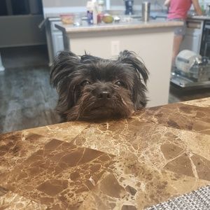 Meet your Posher, Priska